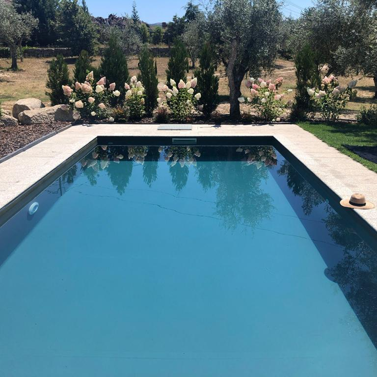 Imagem-WhatsApp-2024-08-02-as-16.15.10_58246dae